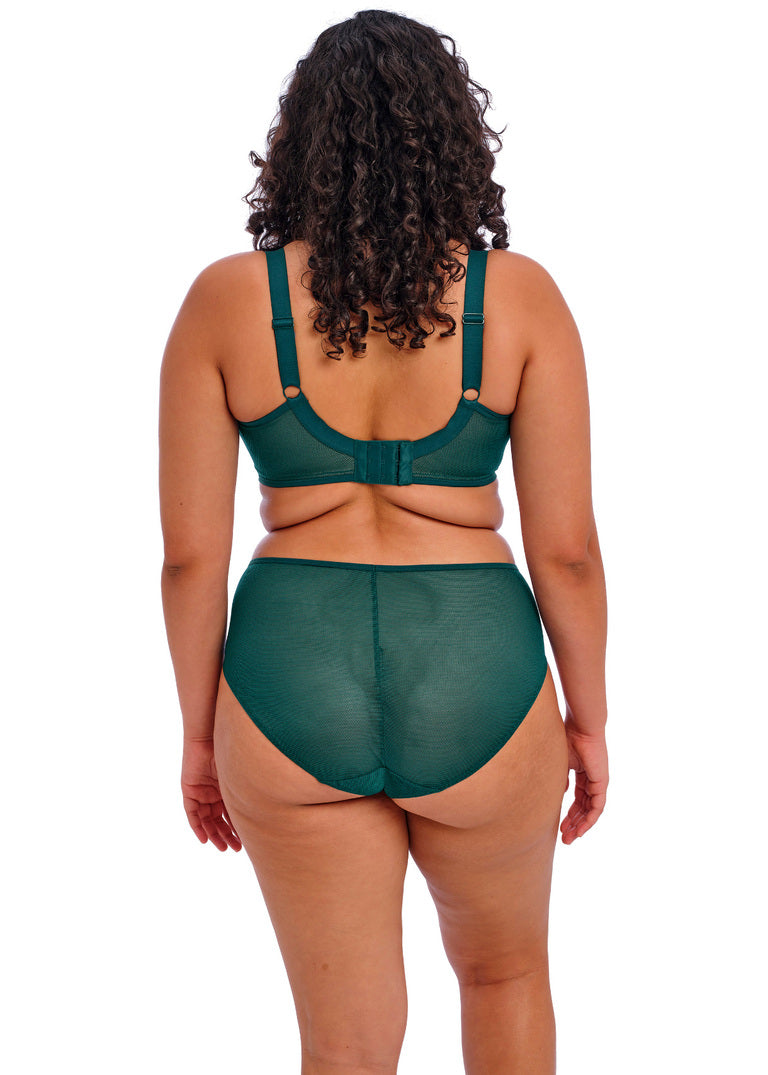 Elomi Kintai Deep Teal Plunge Bra