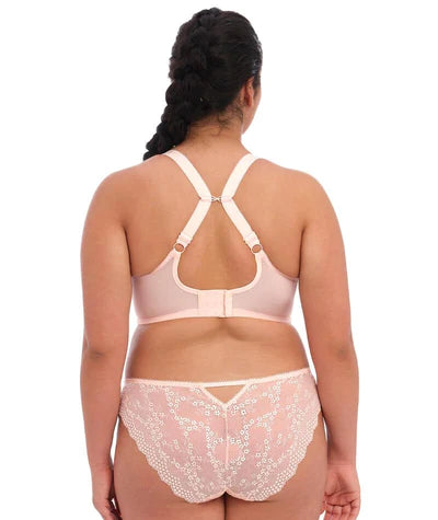Elomi Charley Ballet Pink Plunge Bra
