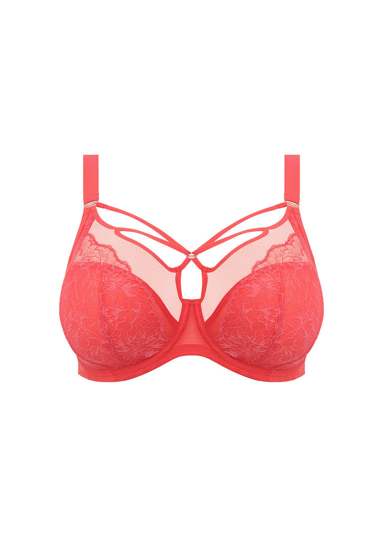 Elomi Brianna Cayenne Plunge Bra