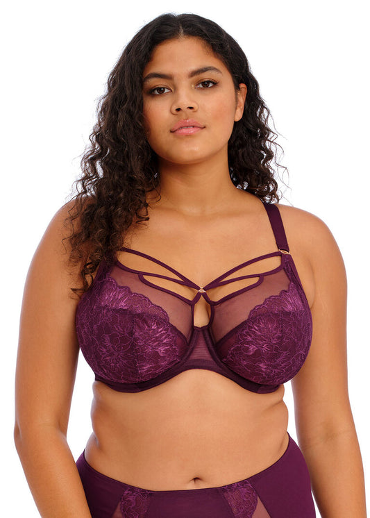 Elomi Brianna Blackberry Plunge Bra