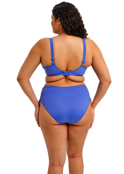 Elomi Plain Sailing Plunge Bikini Top - Azure - back view