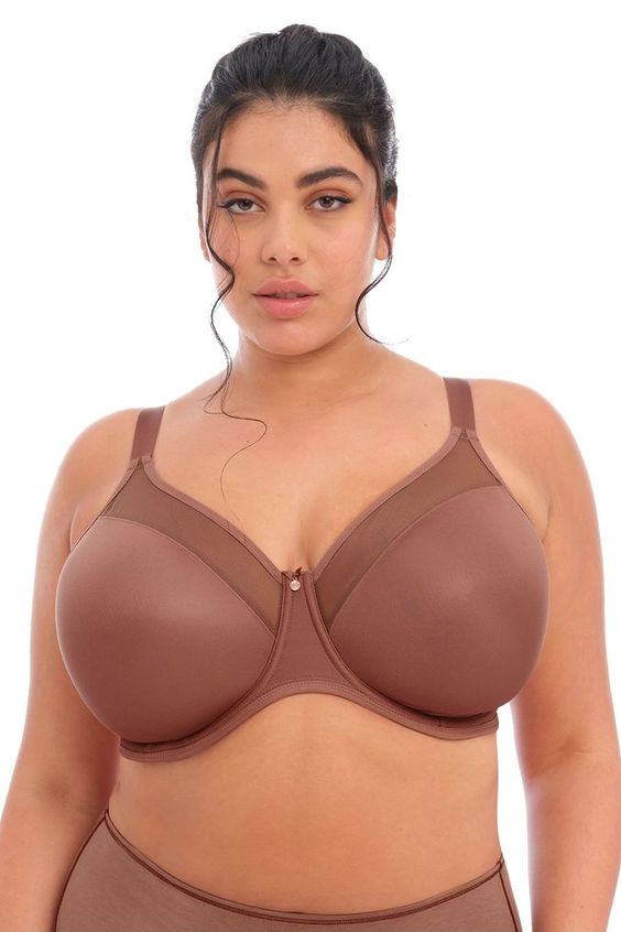 Elomi Smooth Clove Moulded Cup Bra