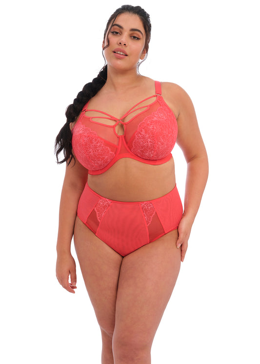 Elomi Brianna Cayenne Plunge Bra