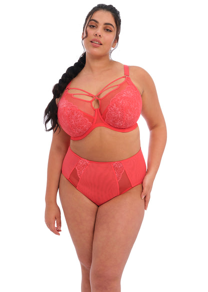 Elomi Brianna Cayenne Full Brief
