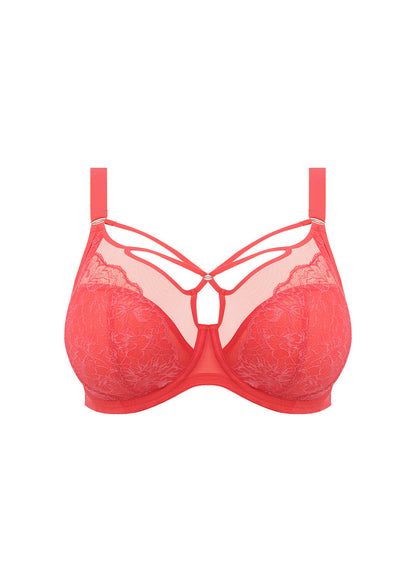 Elomi Brianna Cayenne Plunge Bra