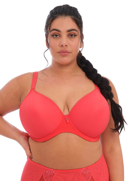 Elomi Bijou Cayenne UW Moulded T Shirt Bra – Chayil D Plus Lingerie